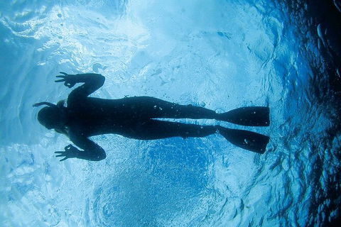 3-Hour Sea Turtle Snorkeling Experience In Byron Bay - Accommodation Bookings 9