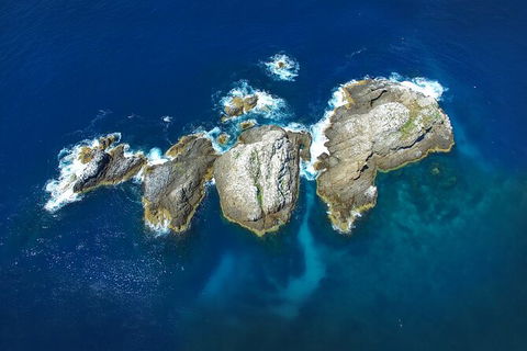 3-Hour Sea Turtle Snorkeling Experience In Byron Bay - Accommodation Bookings 7