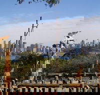 Sydney Taronga Zoo's Australian Animals Tour - Accommodation Bookings