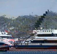 Sydney Boxing Day Cruise 2019 - Accommodation Bookings