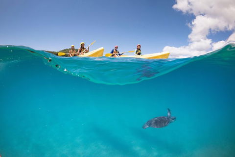 Kayaking With Dolphins In Byron Bay Guided Tour - Accommodation Bookings 14