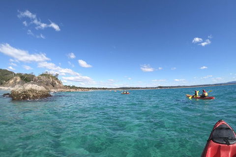 Kayaking With Dolphins In Byron Bay Guided Tour - Accommodation Bookings 15