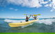 Kayaking With Dolphins In Byron Bay Guided Tour - thumb 16