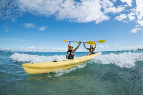 Kayaking With Dolphins In Byron Bay Guided Tour - Accommodation Bookings 16