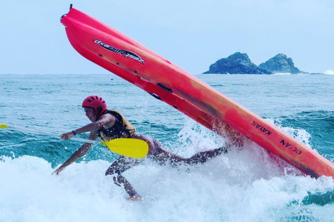 Kayaking With Dolphins In Byron Bay Guided Tour - Accommodation Bookings 12