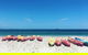 Kayaking With Dolphins In Byron Bay Guided Tour - thumb 20