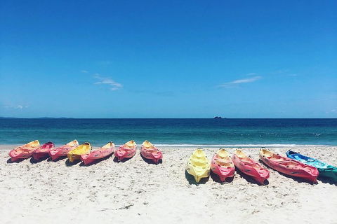 Kayaking With Dolphins In Byron Bay Guided Tour - Accommodation Bookings 20
