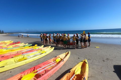 Kayaking With Dolphins In Byron Bay Guided Tour - Accommodation Bookings 17