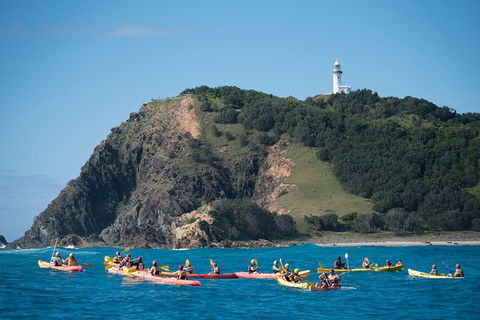 Kayaking With Dolphins In Byron Bay Guided Tour - Accommodation Bookings 2