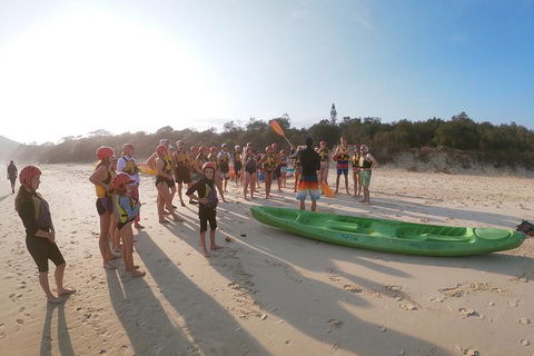 Kayaking With Dolphins In Byron Bay Guided Tour - Accommodation Bookings 11