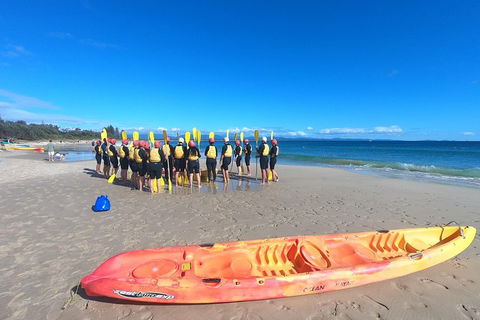 Kayaking With Dolphins In Byron Bay Guided Tour - Accommodation Bookings 3