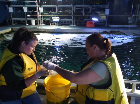 SEA LIFE Sydney Aquarium Entrance Ticket - Accommodation Bookings 14