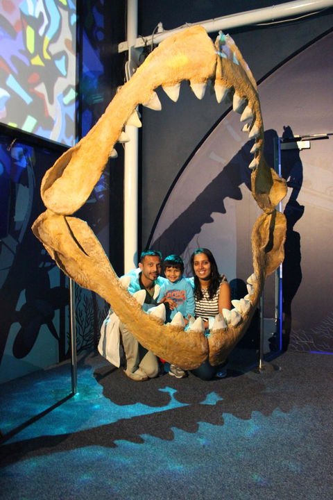 SEA LIFE Sydney Aquarium Entrance Ticket - Accommodation Bookings 6
