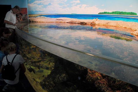SEA LIFE Sydney Aquarium Entrance Ticket - Accommodation Bookings 24