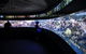SEA LIFE Sydney Aquarium Entrance Ticket - thumb 23