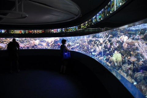 SEA LIFE Sydney Aquarium Entrance Ticket - Accommodation Bookings 23