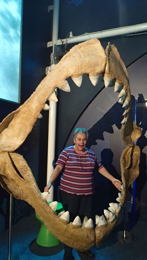 SEA LIFE Sydney Aquarium Entrance Ticket - Accommodation Bookings 3