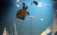 SEA LIFE Sydney Aquarium Entrance Ticket - thumb 4