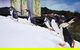 SEA LIFE Sydney Aquarium Entrance Ticket - thumb 32