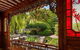 Chinese Garden General Admission Ticket - thumb 12