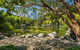 Chinese Garden General Admission Ticket - thumb 8