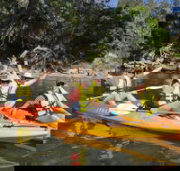 Paddle in Paradise - 4 hours Double Kayak Hire - Accommodation Bookings