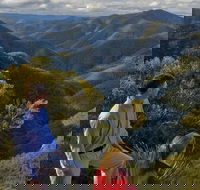 3-Day Blue Mountains and Hunter Valley Small-Group Eco-Tour - Accommodation Bookings