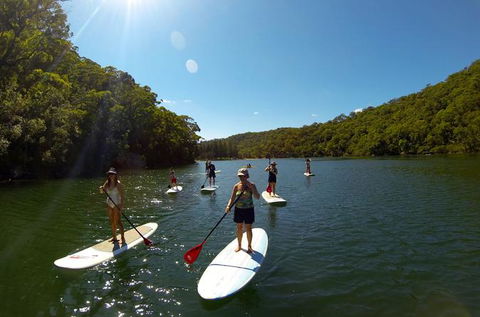 Basin Stand Up Paddle Boarding (SUP) Safari - Accommodation Bookings 0