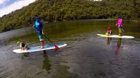 Basin Stand Up Paddle Boarding (SUP) Safari - Accommodation Bookings 1