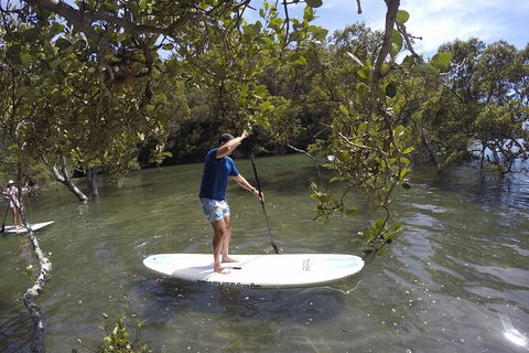 Basin Stand Up Paddle Boarding (SUP) Safari - Accommodation Bookings 2
