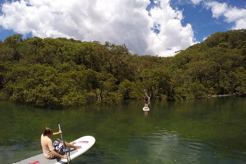 Basin Stand Up Paddle Boarding (SUP) Safari - Accommodation Bookings 7