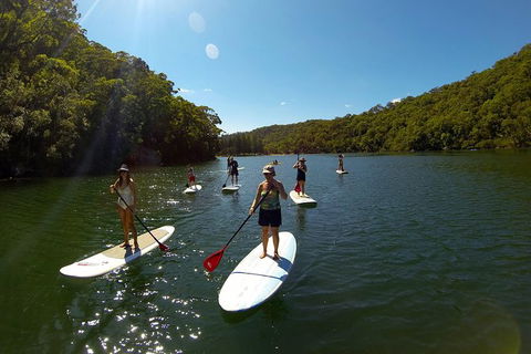 Basin Stand Up Paddle Boarding (SUP) Safari - Accommodation Bookings 4