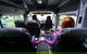 Sydney Airport Departure Transfer (Sydney Central Business District To Airport) - thumb 5