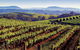 Private Day Trip To Hunter Valley From Sydney With Pickup - thumb 0