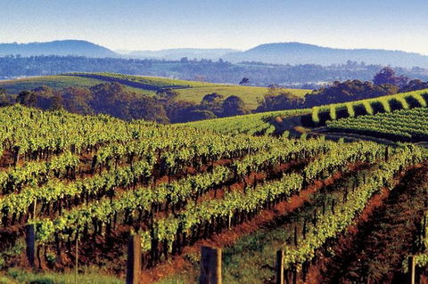 Private Day Trip To Hunter Valley From Sydney With Pickup - Accommodation Bookings 0