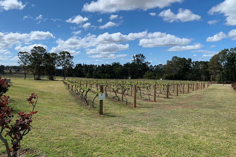 Private Day Trip To Hunter Valley From Sydney With Pickup - Accommodation Bookings 13