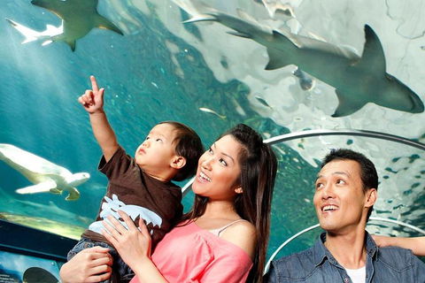 Sydney Shore Excursion: SEA LIFE Sydney Aquarium Entrance Ticket - Accommodation Bookings 3