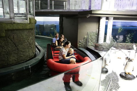 Sydney Shore Excursion: SEA LIFE Sydney Aquarium Entrance Ticket - Accommodation Bookings 6