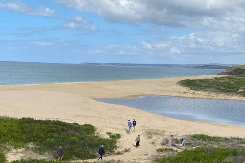 The Eurobodalla Experience (Full Day Private Tour Including Lunch) - Accommodation Bookings 19
