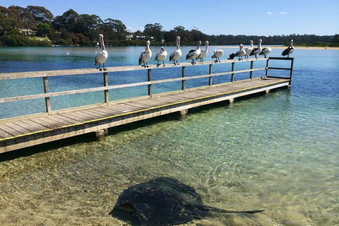 The Eurobodalla Experience (Full Day Private Tour Including Lunch) - Accommodation Bookings 2