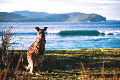 The Eurobodalla Experience (Full Day Private Tour Including Lunch) - Accommodation Bookings 7
