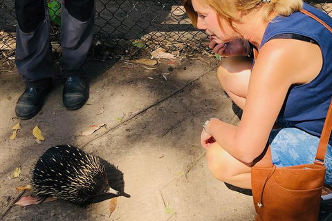 The Eurobodalla Experience (Full Day Private Tour Including Lunch) - Accommodation Bookings 18