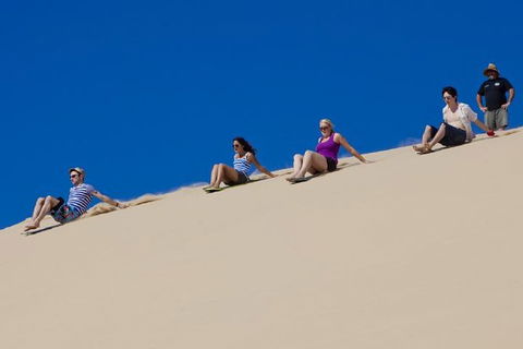Port Stephens Day Tour From Sydney Including 4WD, Sandboarding And Dolphins - Accommodation Bookings 1
