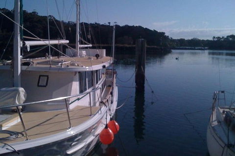 Beyond Byron Hinterland Tour - Accommodation Bookings 0