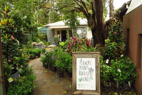 Beyond Byron Hinterland Tour - Accommodation Bookings 2