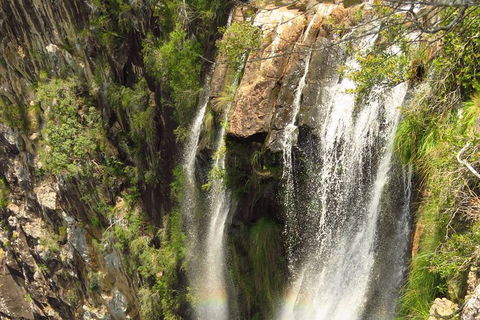 Beyond Byron Hinterland Tour - Accommodation Bookings 10