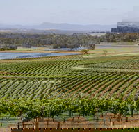 Hunter Valley Wine and Wildlife Tour from Sydney with Walkabout Wildlife Park - Accommodation Bookings