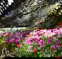 Spring Gardens in the Blue Mountains Private Tour Limited Time Only - Accommodation Bookings