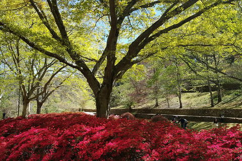 Spring Gardens In The Blue Mountains Private Tour Limited Time Only - Accommodation Bookings 1