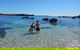 Batemans Bay Full Day Sea Kayak Tour With Beach Picnic Lunch - thumb 3
